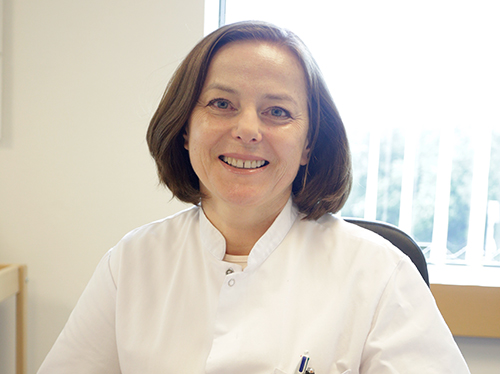Dr Lipka